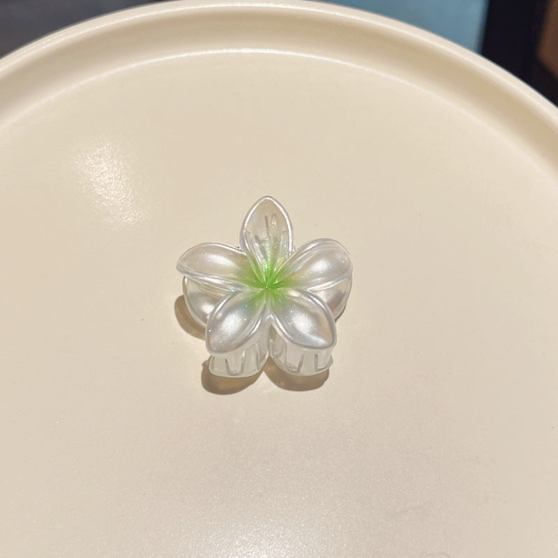 Pince à cheveux clip fleur de Plumeria Rubra aux couleurs sucrées