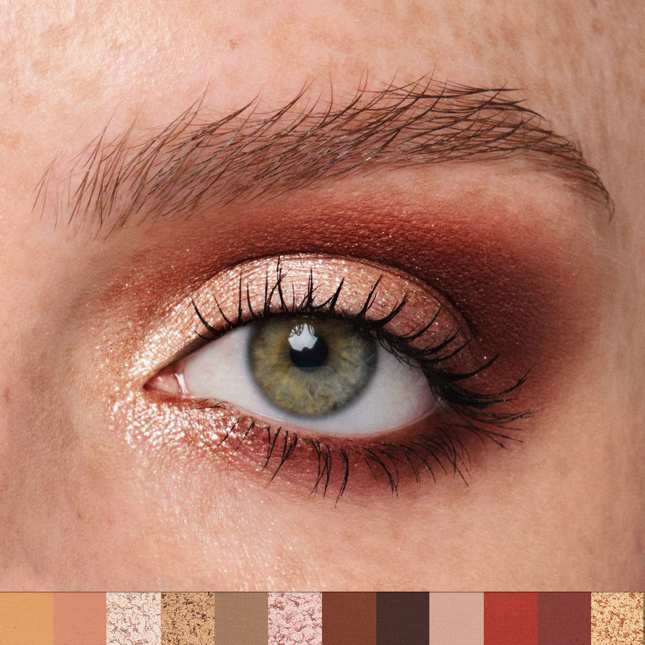 PHOFAY – Palette de fards à paupières 12 couleurs 🎨👁️