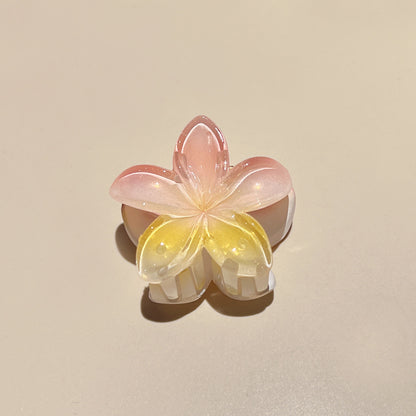 Pince à cheveux clip fleur de Plumeria Rubra aux couleurs sucrées
